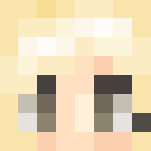 Lady Gaga-The Monster Ball Tour - Female Minecraft Skins - image 3