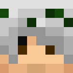 Druid (Magic Skin Contest) - Male Minecraft Skins - image 3