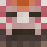 Flesh Atronach [TES] - Other Minecraft Skins - image 3