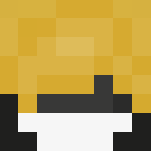 I've Found a new Fandom - Interchangeable Minecraft Skins - image 3