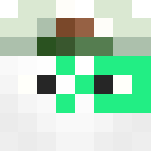 colorfull assasin - Male Minecraft Skins - image 3