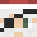~Christmas Pirate Themed Morph~ - Christmas Minecraft Skins - image 3