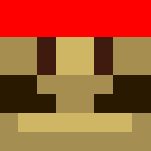 NES SERIES--- Mario - Male Minecraft Skins - image 3