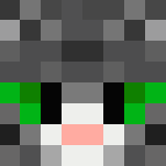 Kot szary bez garbny - Male Minecraft Skins - image 3