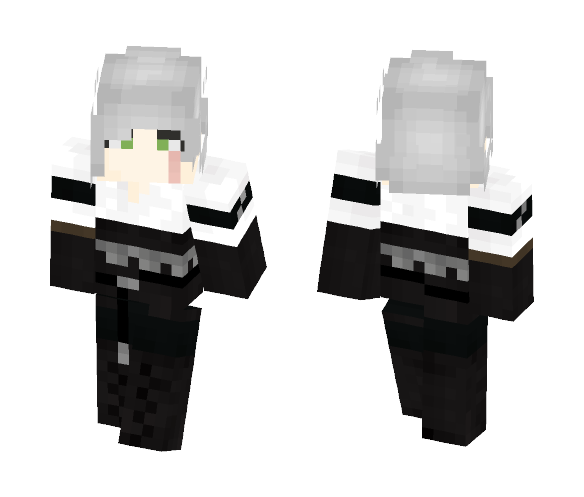 Download The Witcher 3, Ciri. Minecraft Skin for Free ...