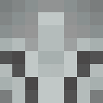 Council Guard - Interchangeable Minecraft Skins - image 3