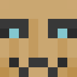 Pumpkin friend {Alt in Desc.} - Interchangeable Minecraft Skins - image 3