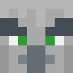 Evoker - Other Minecraft Skins - image 3