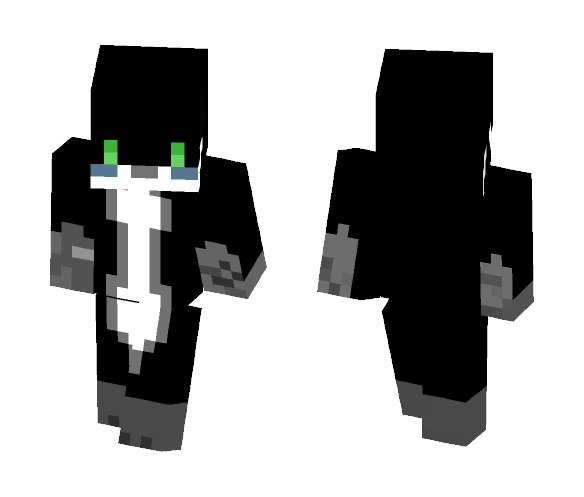 Racoon - Male Minecraft Skins - image 1