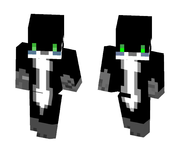 Racoon double - Male Minecraft Skins - image 1