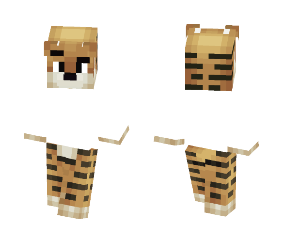 Me in a shirt or flada in spanish - Male Minecraft Skins - image 1
