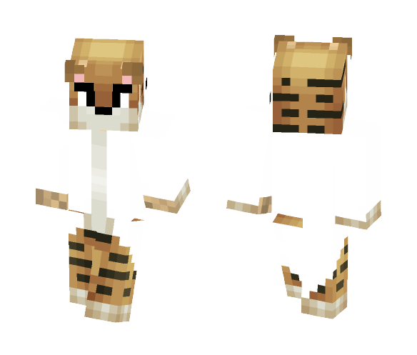 Professor_DessertTiger - Male Minecraft Skins - image 1