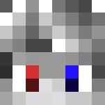 Silver Hoodie Head | Skin - Male Minecraft Skins - image 3