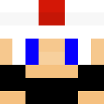 Fire Mario - Male Minecraft Skins - image 3