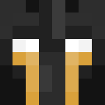 Golden Knight - Interchangeable Minecraft Skins - image 3