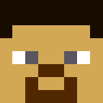 Cartoonic Steve - Male Minecraft Skins - image 3