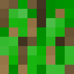 Tree Guy (Without face) - Interchangeable Minecraft Skins - image 3
