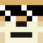 Deal With It/Doge Meme's - Male Minecraft Skins - image 3