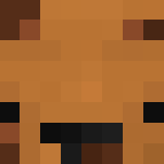 Derp cookie in a cookie shirt - Male Minecraft Skins - image 3