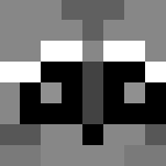 Raccoon - Interchangeable Minecraft Skins - image 3
