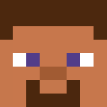 Plastic Steve - Male Minecraft Skins - image 3
