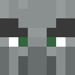Villager/Evoker - Male Minecraft Skins - image 3