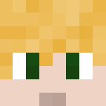 Elven Boy - Anordil - Boy Minecraft Skins - image 3