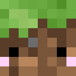 ⋆ Kawaii Grass Block ⋆ - Kawaii Minecraft Skins - image 3