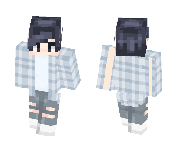 ρℓαιη ρℓαι∂ - Male Minecraft Skins - image 1