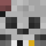 Skeleton Pirate - Male Minecraft Skins - image 3