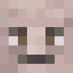 Mister Hobbes - Male Minecraft Skins - image 3