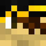 Captain Corsair - Male Minecraft Skins - image 3