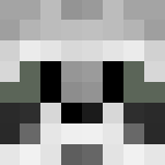 Raccoon - Interchangeable Minecraft Skins - image 3