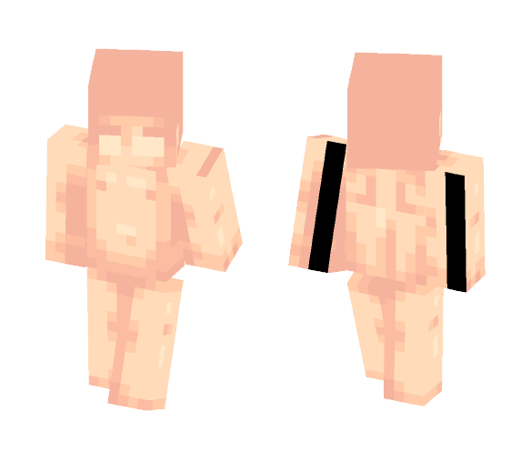 Four Skin Bases - Interchangeable Minecraft Skins - image 1