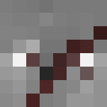 Aetherys : Grey Wolf #1 - Male Minecraft Skins - image 3