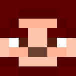 Robin, The warrior - Male Minecraft Skins - image 3