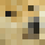 HD Doge - Male Minecraft Skins - image 3