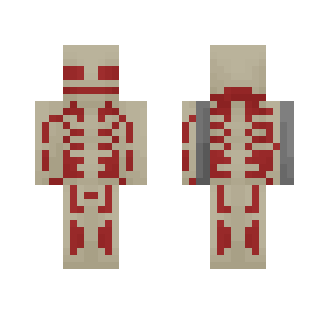 Human Skeleton(Inaccurate) - Interchangeable Minecraft Skins - image 2