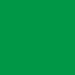Green man - Interchangeable Minecraft Skins - image 3