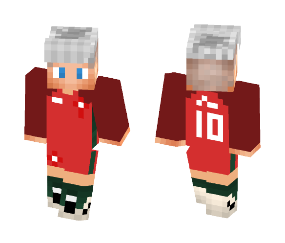 Euro 2016 Portugal Home Kit - Male Minecraft Skins - image 1