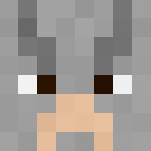 Quick Flash | For FlashQuickPlayzPM - Male Minecraft Skins - image 3