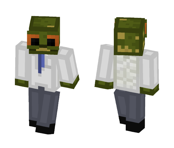 Dr Turtle - Interchangeable Minecraft Skins - image 1