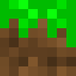 Grass Block - Other Minecraft Skins - image 3