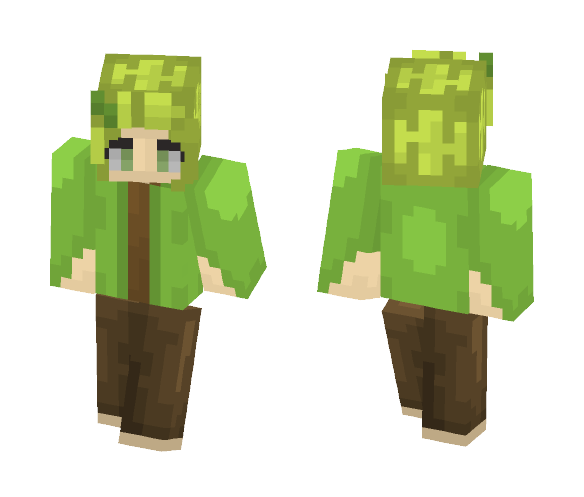 Elf Of The Willows - Interchangeable Minecraft Skins - image 1