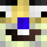 Doge - Male Minecraft Skins - image 3