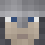 Crusader - Male Minecraft Skins - image 3