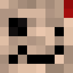 Voodoo Doll - Interchangeable Minecraft Skins - image 3
