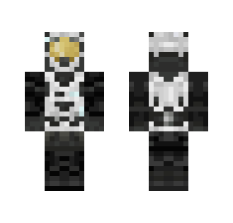 Black and White Spartan - Interchangeable Minecraft Skins - image 2