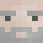 Request - Druid - Male Minecraft Skins - image 3