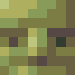 orc dude - Male Minecraft Skins - image 3